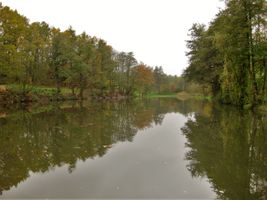 Cukrovarský rybník ve Vinoři 7.11.14.JPG